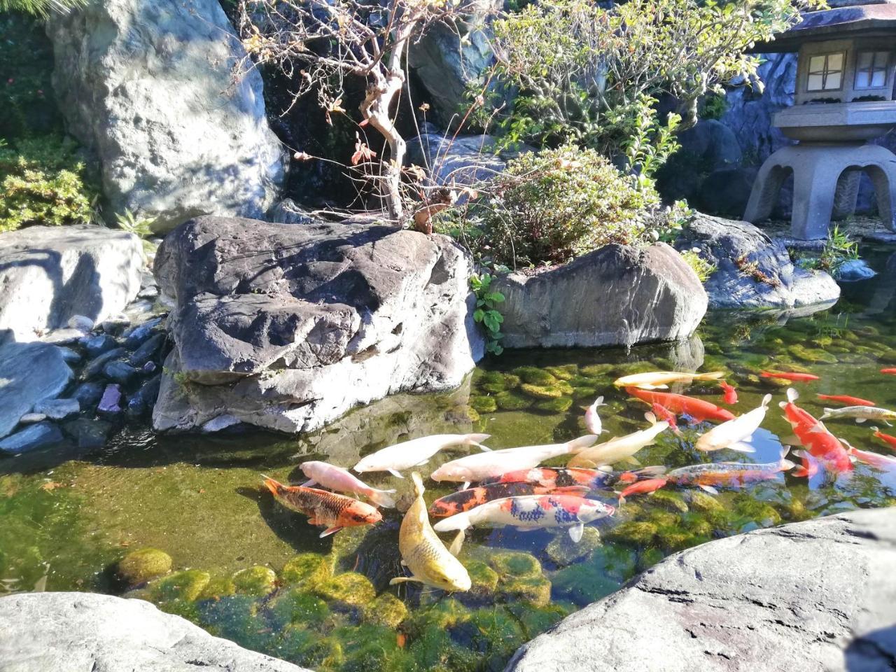伊豆之国市 伊豆长冈石屋日式旅馆酒店 外观 照片